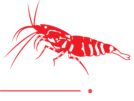 shrimp.forsale logo